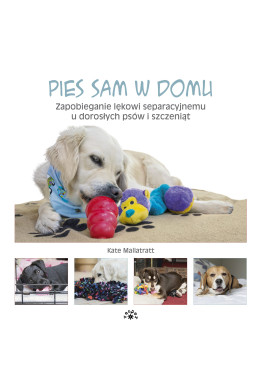 Pies sam w domu - Kate Mallatratt (oprawa miękka)-Powystawowa