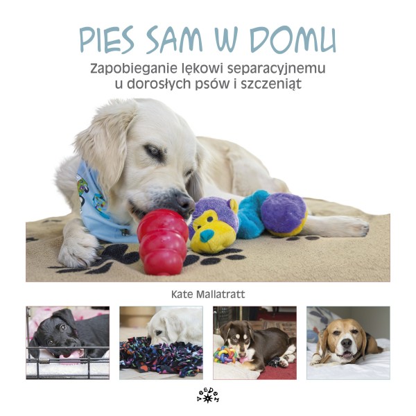 Pies sam w domu - Kate Mallatratt (oprawa miękka)-Powystawowa