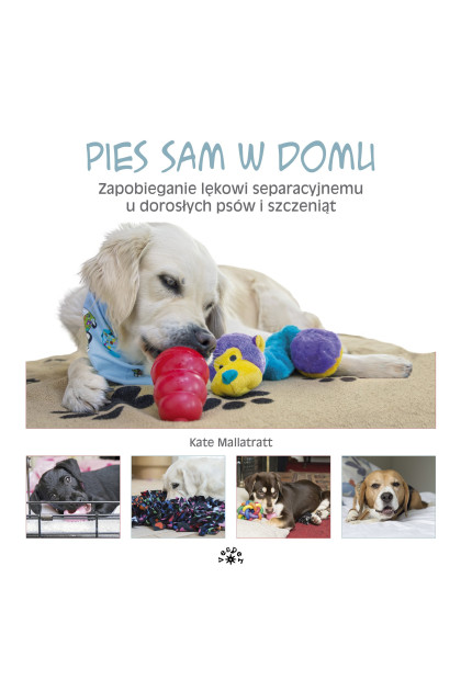 Pies sam w domu - Kate Mallatratt (oprawa miękka)-Powystawowa