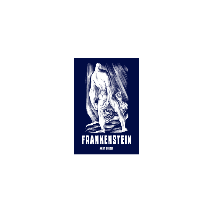 Frankenstein [wyd.2024] - Mary Shelley (oprawa miękka)