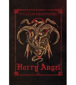 HARRY ANGEL - William Hjortsberg (oprawa twarda) image