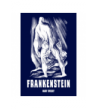 Frankenstein - Mary Shelley (oprawa twarda)
