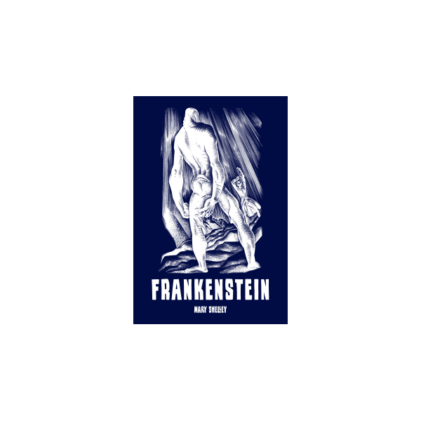 Frankenstein - Mary Shelley (oprawa twarda)-Powystawowa