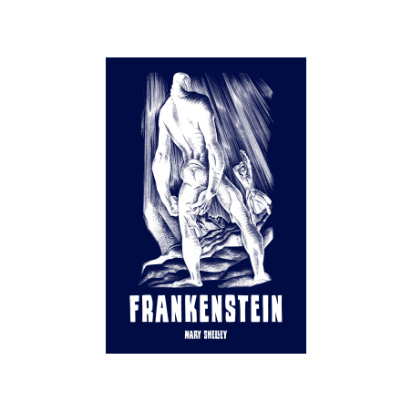 Frankenstein - Mary Shelley (oprawa miękka)-Powystawowa